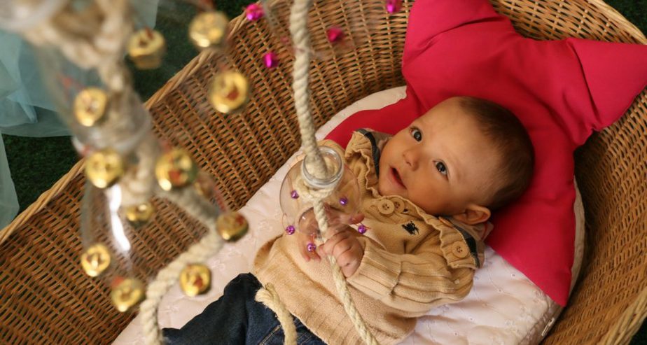 moses basket purpose