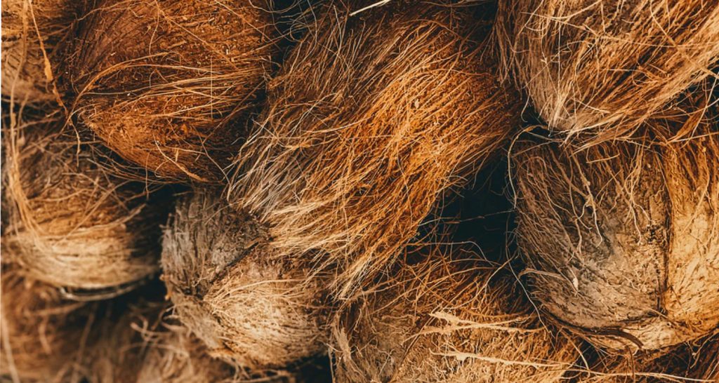 Coir is common in sustainable mattresses