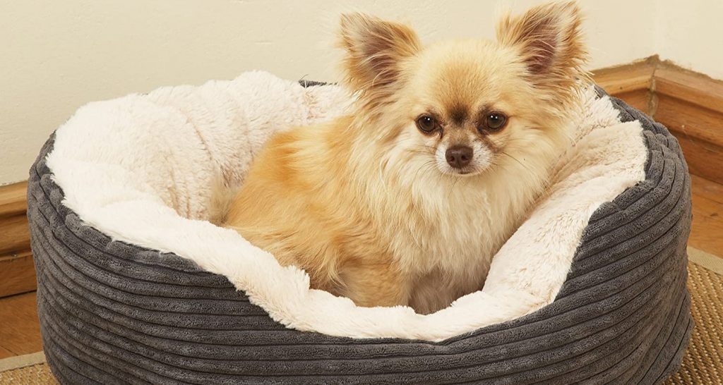 Rosewood Plush Dog Bed